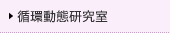 循環動態研究室